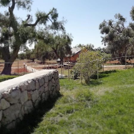 Agriturismo Marconi ポルト・チェザーレオ エクステリア 写真