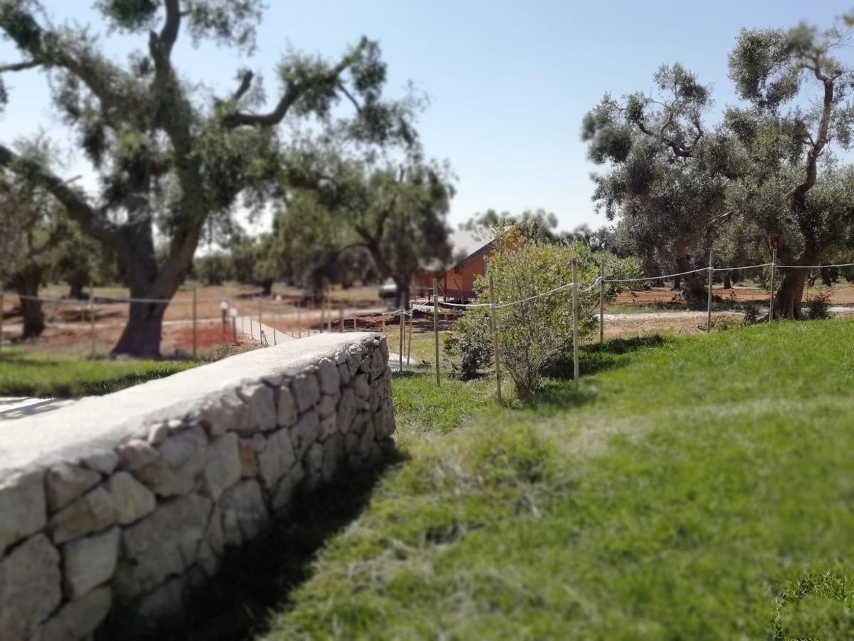Agriturismo Marconi ポルト・チェザーレオ エクステリア 写真